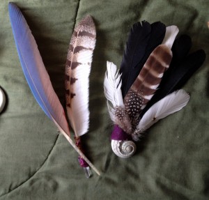 Feathers and Fans